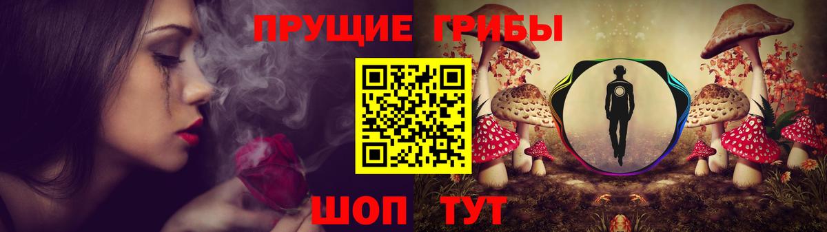 Галлюциногенные грибы прущие грибы Асбест